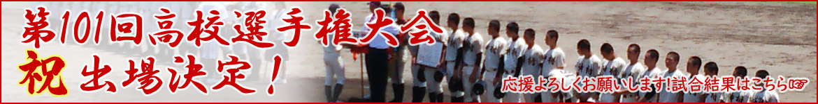第101回全国高校野球選手権大会出場決定