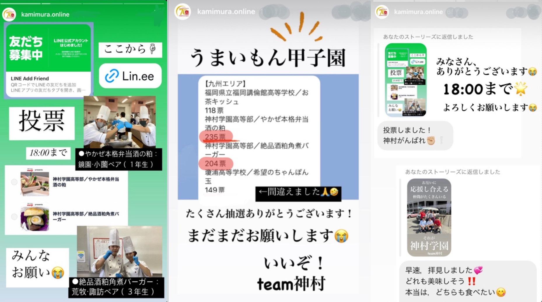 【激レア★美品】中村高校　2017甲子園出場 応援グッズ 5点セット 神戸国際大附属高校 応援曲 STARDUST（ 内藤哲也 入場曲）：センバツ