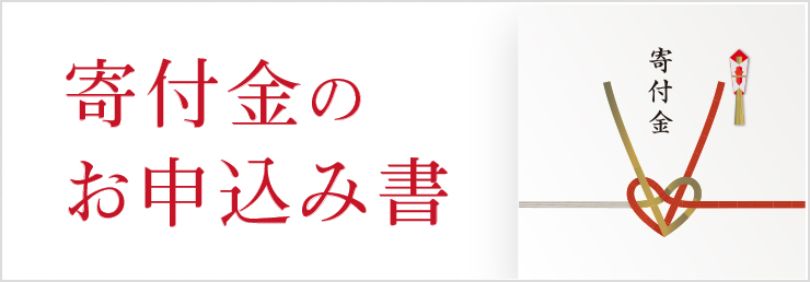 PDF Document Preview